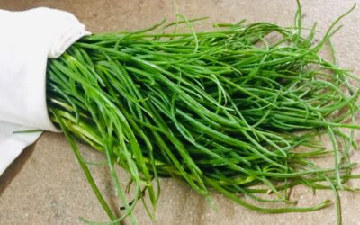 AGRETTI, GLI ORTAGGI PERFETTI PER UNA DETOX PRIMAVERILE