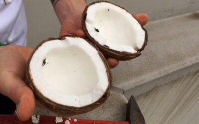 COCCO, CONTRO LA FAME NERVOSA