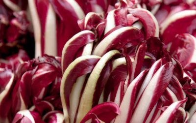 Radicchio Rosso in padella: facilissimo e molto gustoso