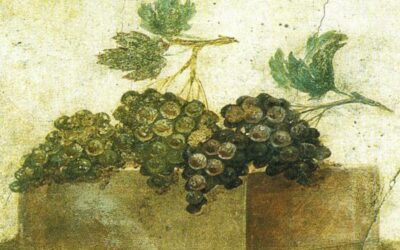 UVA, PER RINFRANCARSI DALLE FATICHE DELL’AMORE