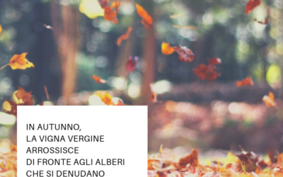 PUDORE AUTUNNALE