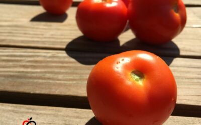 IL POMODORO AIUTA LA FERTILITA’ MASCHILE